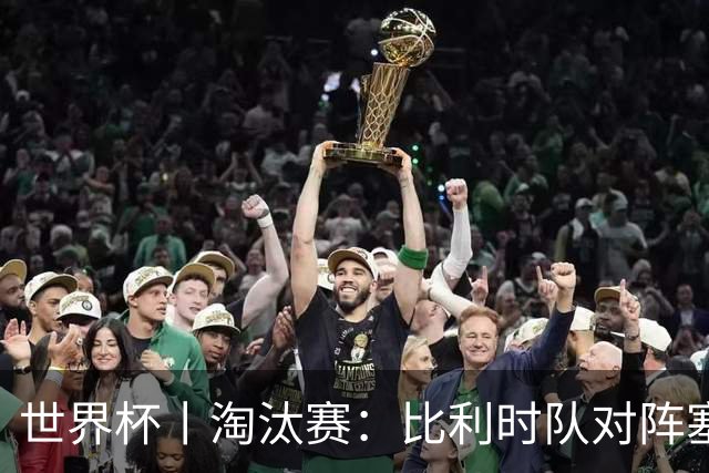 世界杯丨淘汰赛：比利时队对阵塞内加尔队