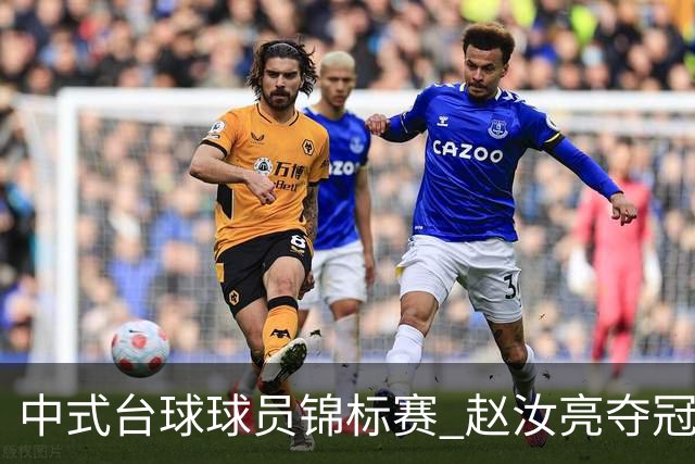 中式台球球员锦标赛 赵汝亮夺冠斩获百万奖金