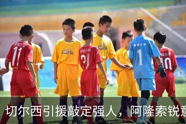 切尔西引援敲定强人，阿隆索锐意打造铁血蓝军，帕尔默被低估