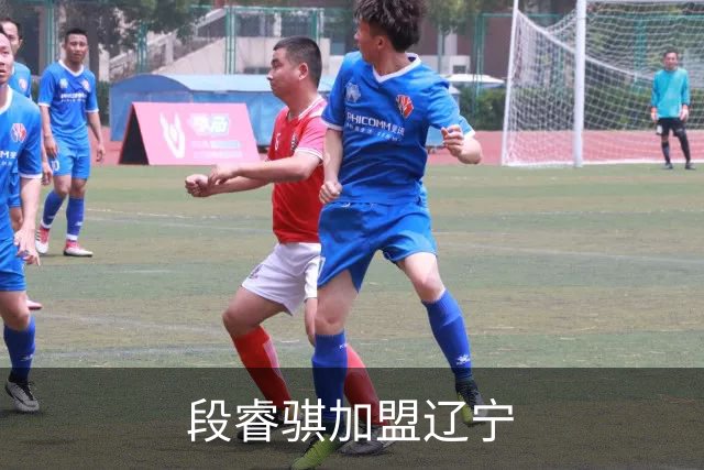 段睿骐加盟辽宁