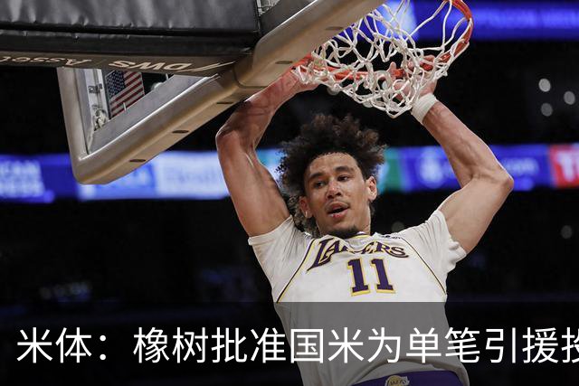 米体：橡树批准国米为单笔引援投入5000万欧，目标是帕莱斯特拉
