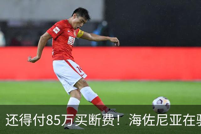 还得付85万买断费！海佐尼亚在骑士年薪280万美元 远不如皇马时期